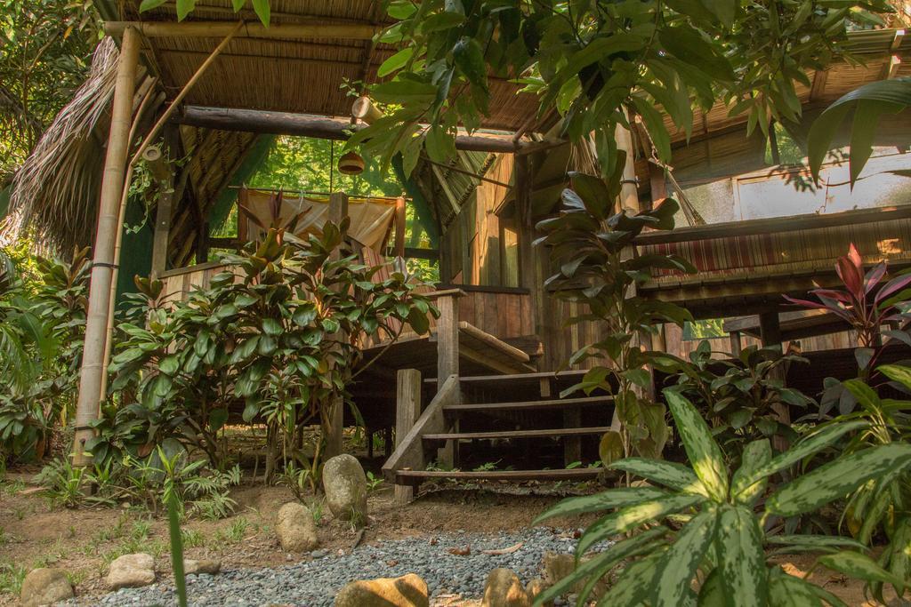 Finca Exotica Eco Lodge Carate Экстерьер фото