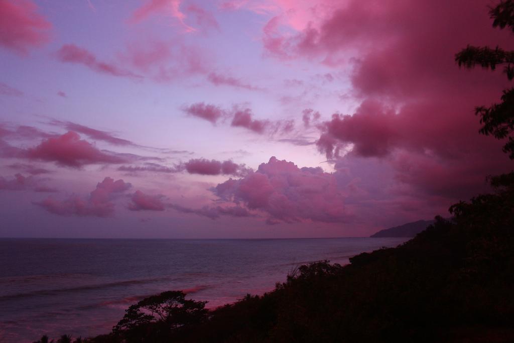 Finca Exotica Eco Lodge Carate Экстерьер фото
